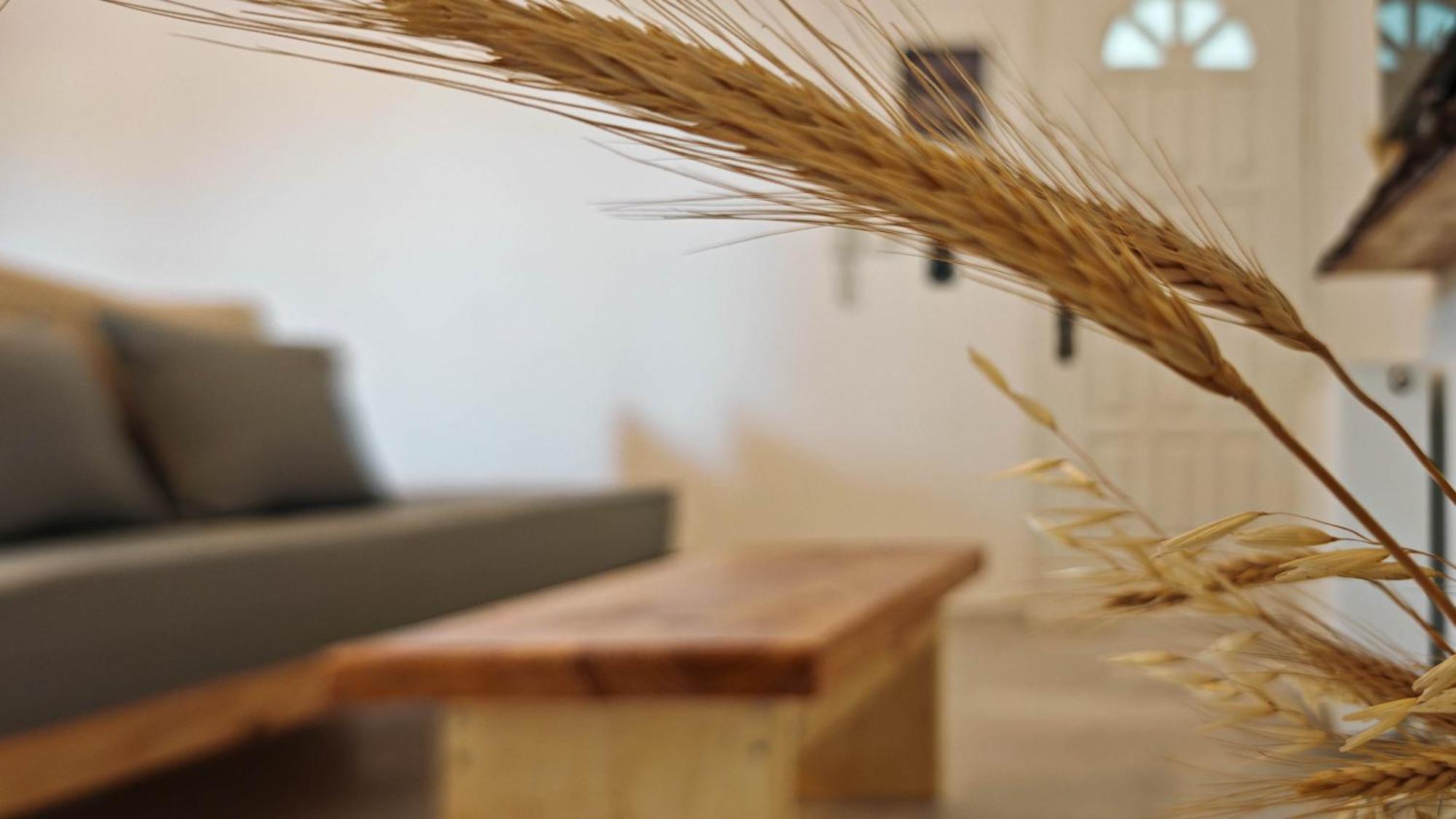 Paraga Suites Naxos City Extérieur photo